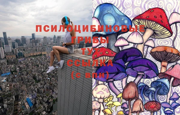 a pvp Снежинск