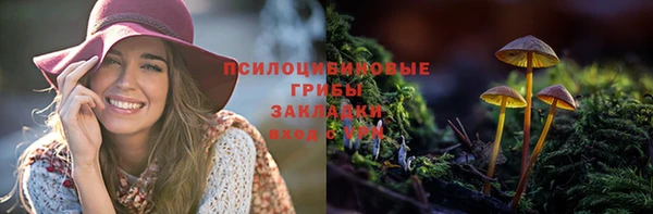 a pvp Снежинск
