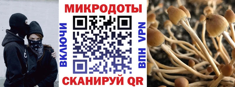 Галлюциногенные грибы мицелий  Купить где  Мыски 