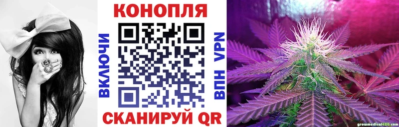 Канабис план  Купить где  Мыски 